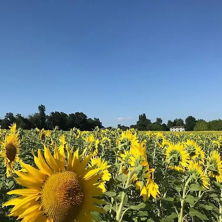 Domaine De La Vaure Hébergement de vacances Chillac